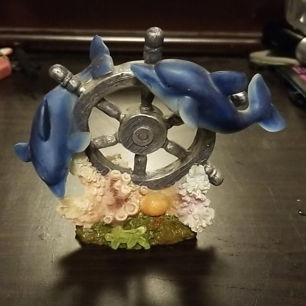 Dolphins with coral